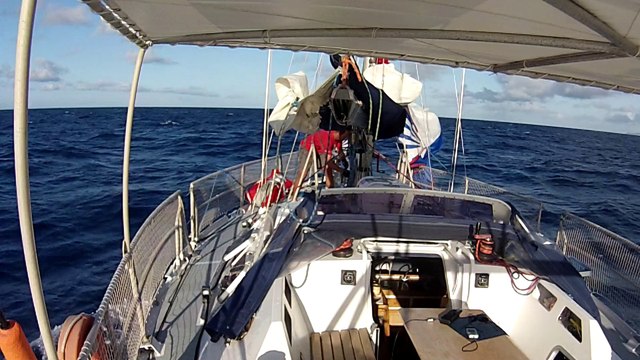 Matin de l'arrivée aux Antilles manoeuvre sous spi