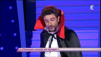 Verino - Les chauve-souris en danger