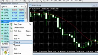 MetaTrader 4 Trading terminal environment intro