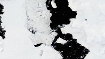 Iceberg eight times the size of Manhattan breaks off from Antarctica