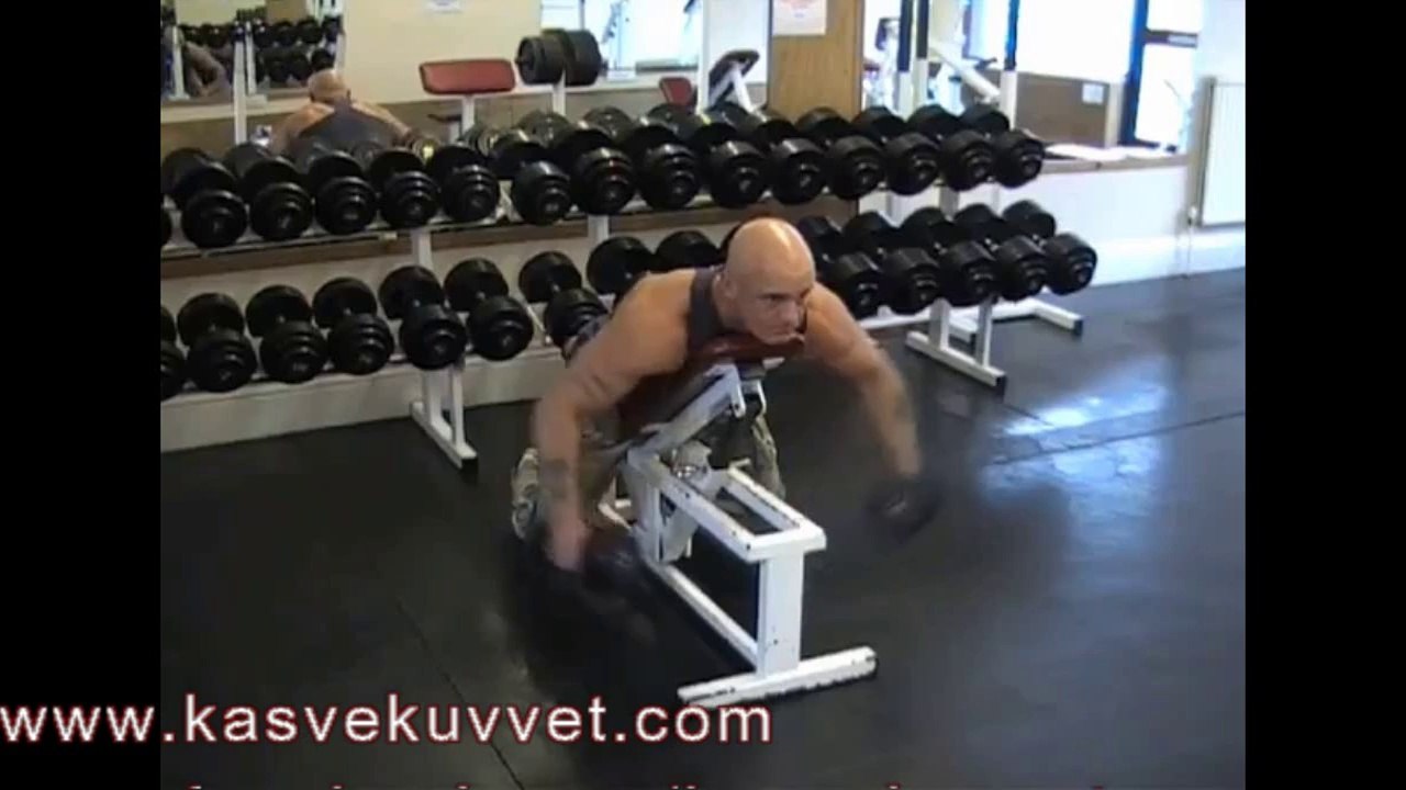 Dumbell Reverse Fly On Incline Bench