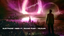 Electronic Vibes ft. Sound Rush - Wildlife [HQ Original]