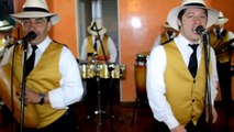 SON CUBANO BODAS FIESTAS EN BOGOTA 2014 Musicos en bogota Orquestas bodas Bogota