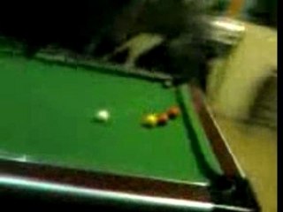 Soirée billard