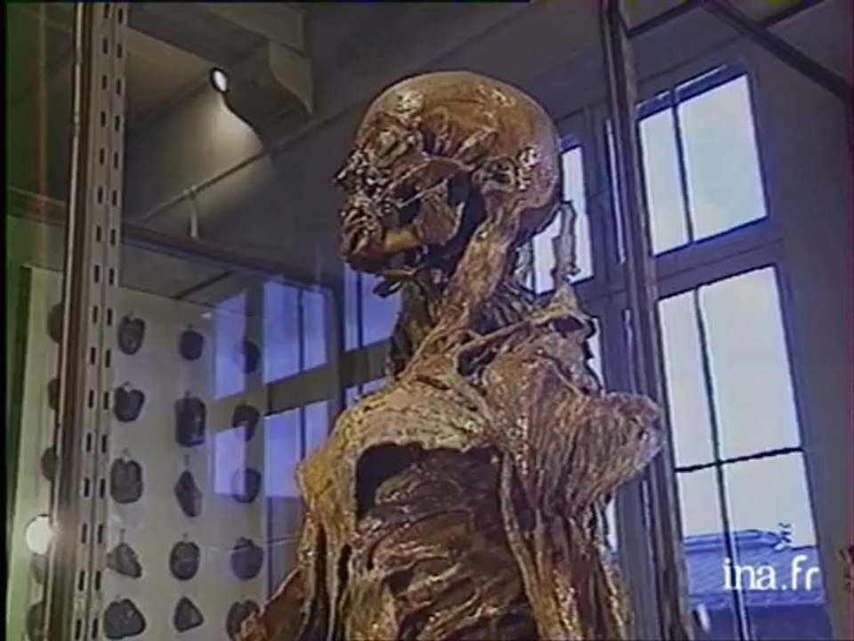 Ecole vétérinaire de Maisons Alfort : le musée Fragonard