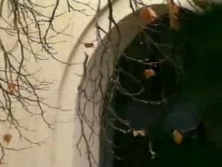 Mua bui 2 - Quang binh ,Trang thanh lan