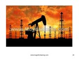 sap is oil and gas online training and corporate training