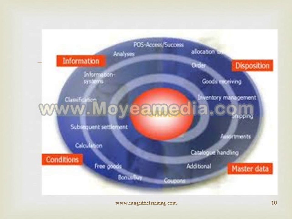 sap is retail online training and corporate training