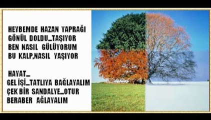 ŞİİR  GÜNCESİ-14