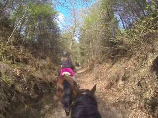 23.04.2014.c.tenebra.neo.cailloux