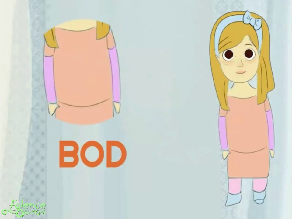 Our Body