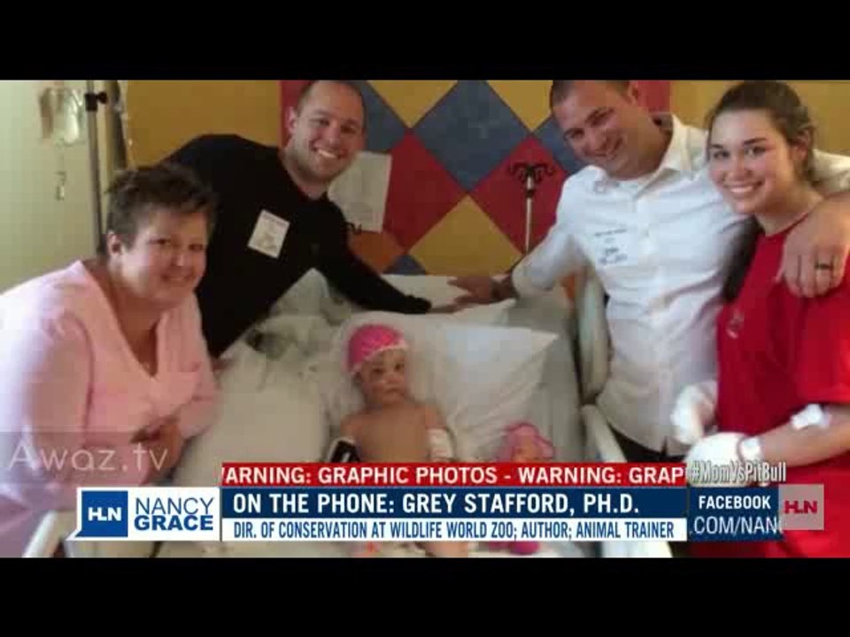 Mom bites off pit bull's ear as it mauls 2-year-old - HLNtv.com