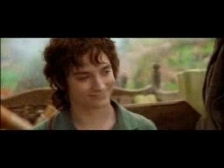 Frodo(celine dion (fly, fly little wing)