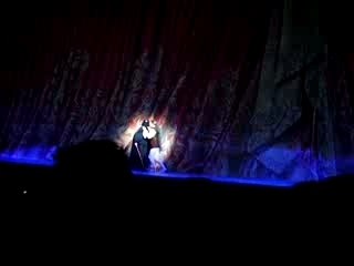 Luc Skywalker et Dark Vador (Roi Soleil)