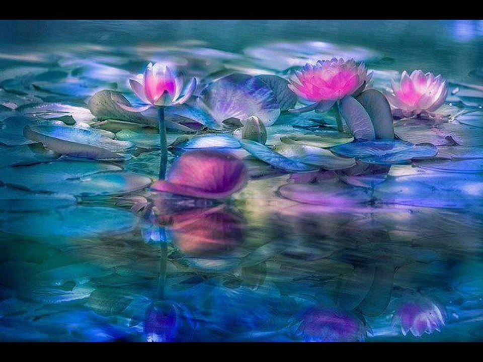 Bir Gün beni terk eder gidersen yine yanlız kaldım deme