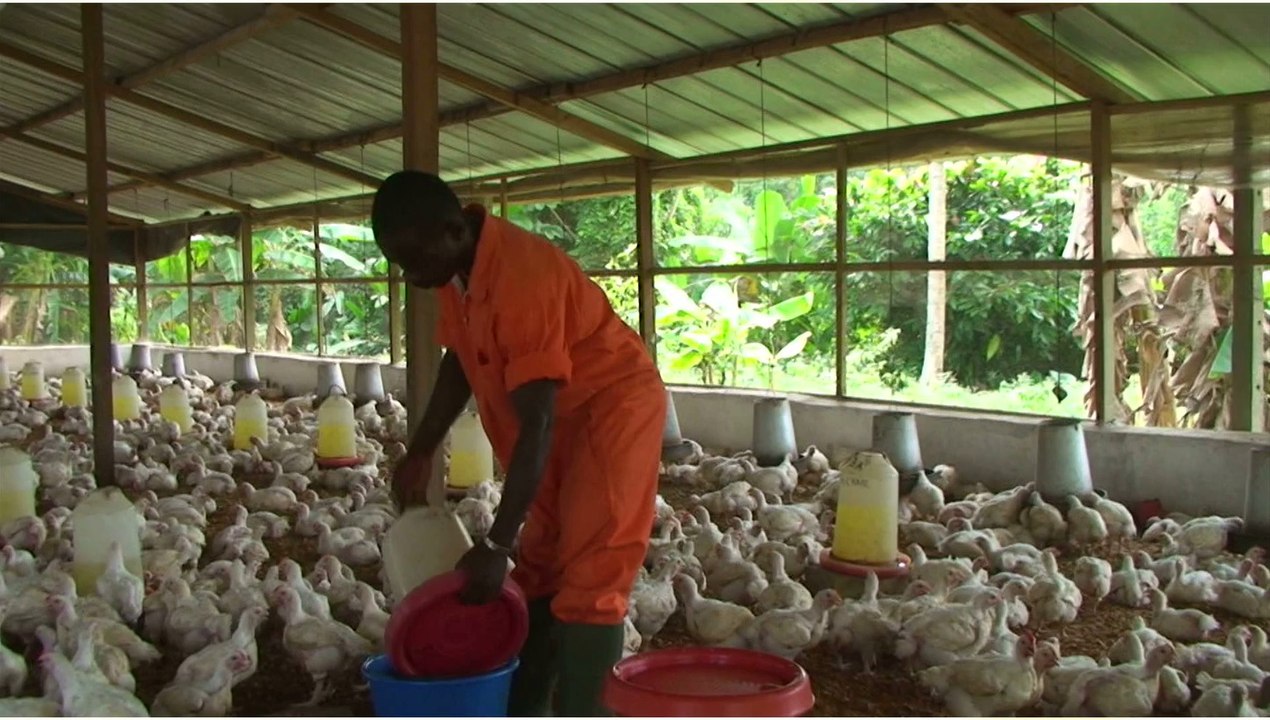 Avec la Fondation Marianiste, aimer, éduquer, développer !