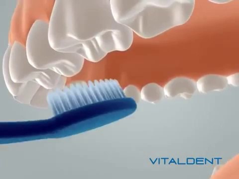 Vitaldent León: así debes cepillarte los dientes