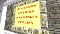 TV3 - Notícies 3/24 - A la recerca dels refranys catalans més usuals
