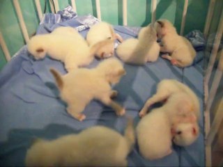 les bébés de Flora et Elya