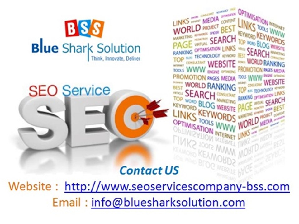 Blue Shark Solution A leading company for off page optimization services