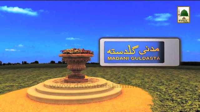 Madani Guldasta 849 - Aashiq e Aala Hazrat - Haji Imran Attari