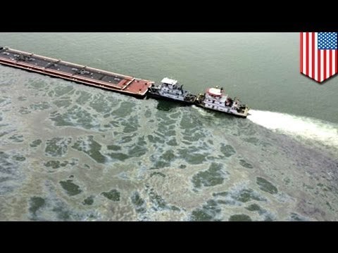 Texas Oil spill: cleanup operations close Houston ship channel