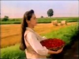 1992年　グリコ　ポッキ-　牧瀬里穂　つぶつぶいちご