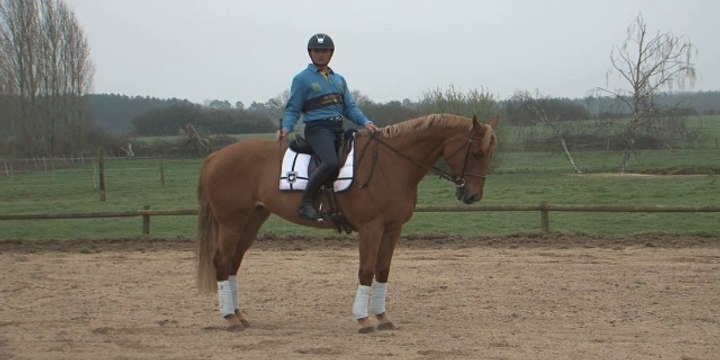 Cheval Pratique - L'arrêt avec Bertrand Poisson