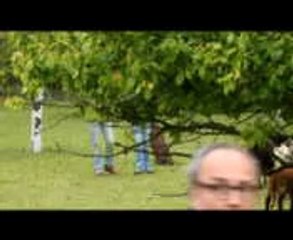 1 er passage 20-04-2014