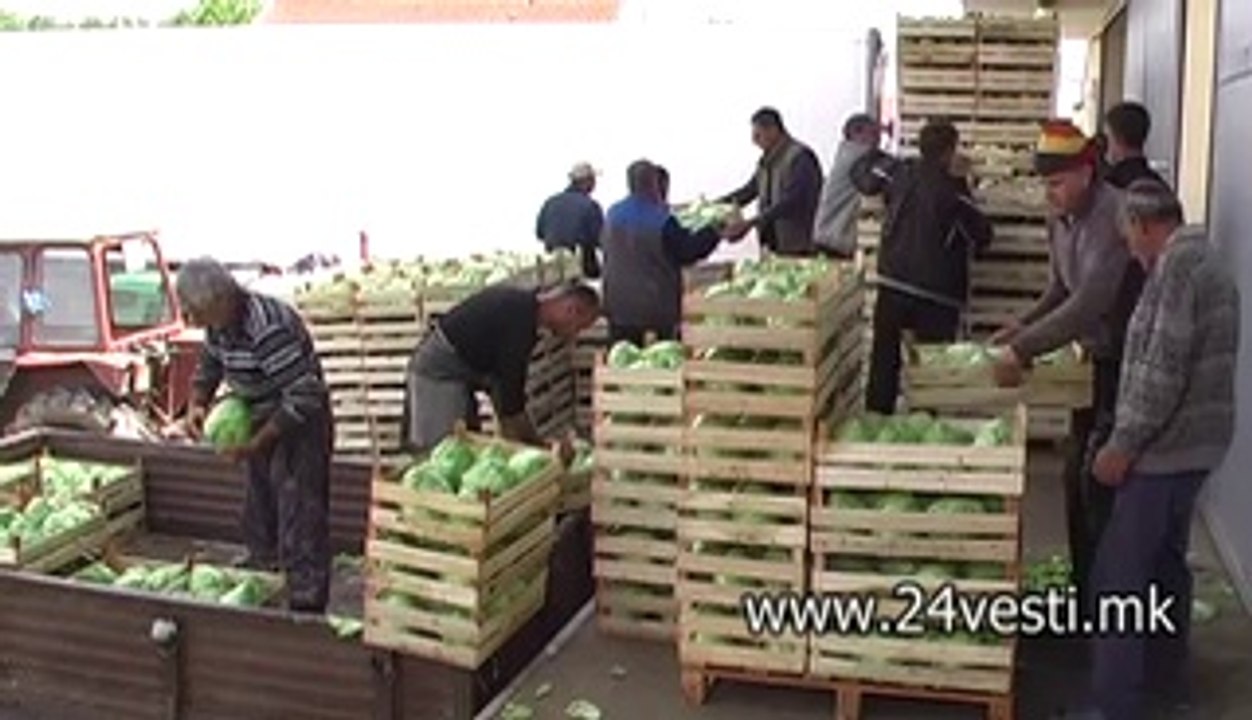 NEMA OTKUP NA ZELKA VO STRUMICA  24 04 2014