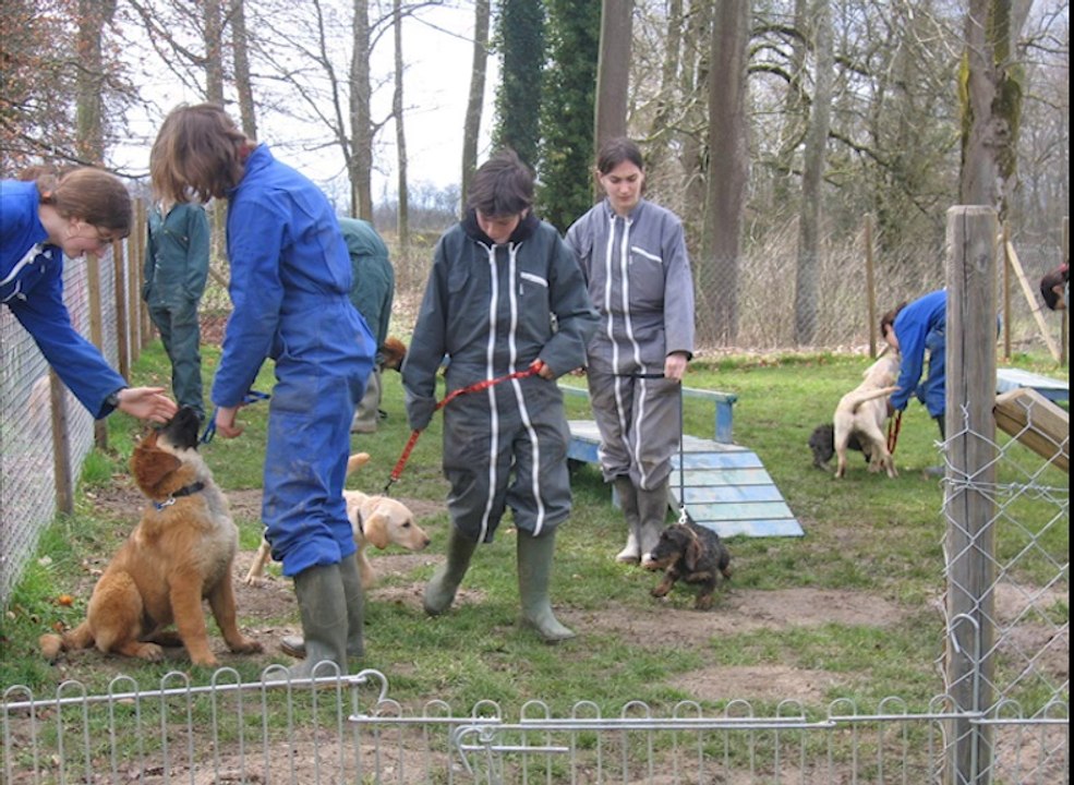 Ecole des Chiots Lycée de Saint-Gervais