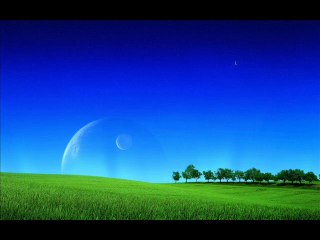 Sharon Janny den Adel - Tidus and Yuna The End