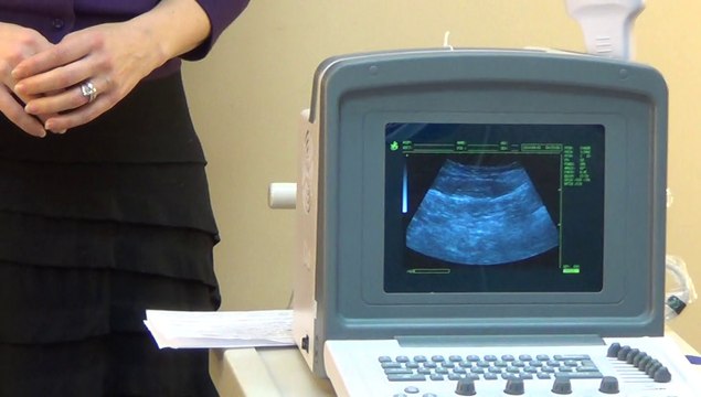 Shor Introduction-Veterinary Ultrasound Scanner WED-9618 redesigned