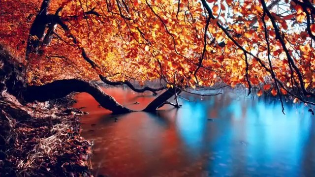 Sen uzaklarda değil damarımda kanımsın.^^Soydan ^^