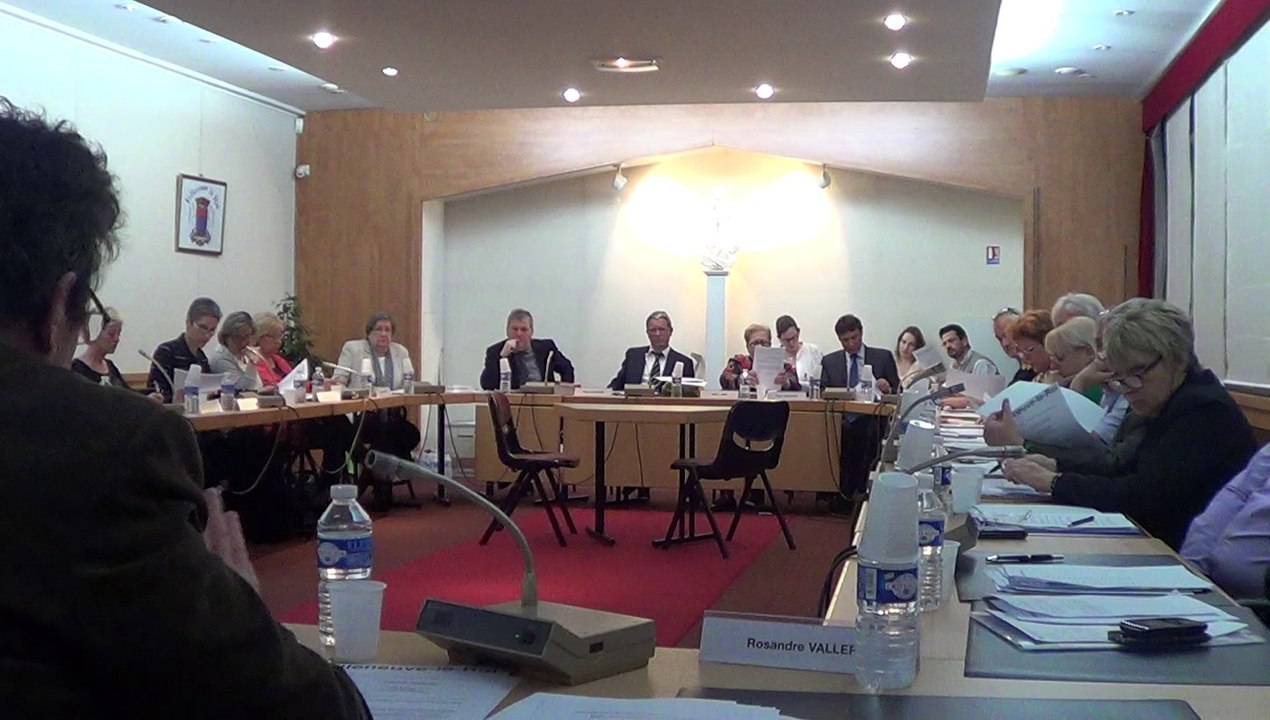 conseil municipal de Villeneuve-le-Roi - 17 avril 2014 - 1ère partie suite