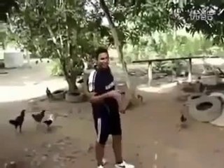 how to call the hens very interesting.