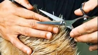 POR QUÉ SE USA EL PELO CORTO EN LOS HOMBRES