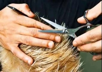 POR QUÉ SE USA EL PELO CORTO EN LOS HOMBRES