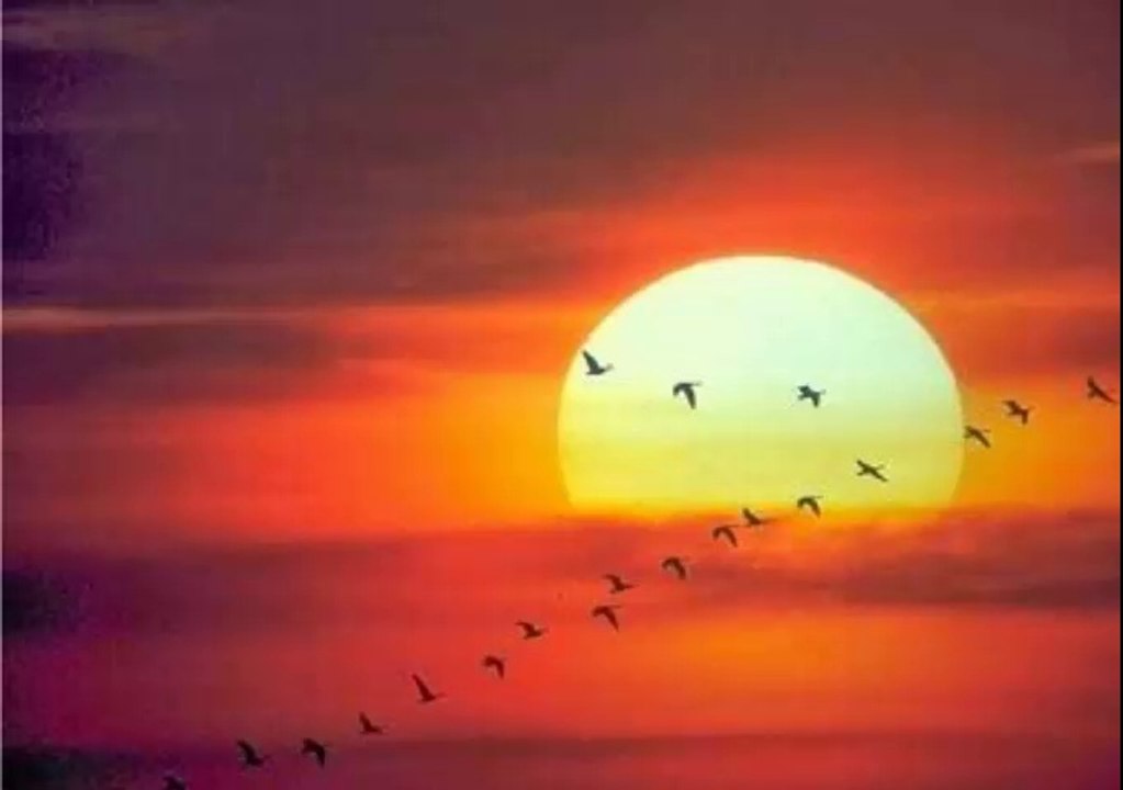 CUÁNDO SE APAGARÁ EL SOL