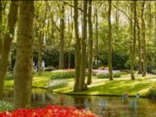 İSTANBUL TANITIMI gungor