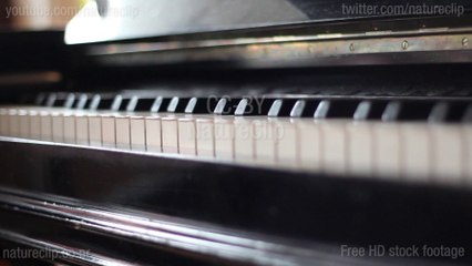 Piano Pan CC-BY NatureClip