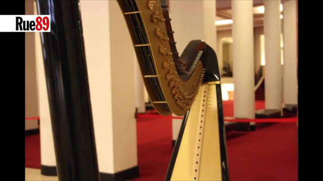 Nouveaux instruments : la harpe sans cordes