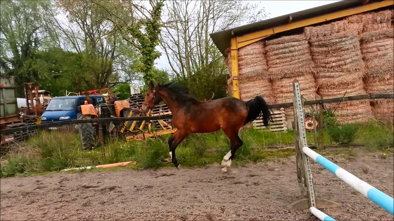 Cascade se defoule au poddock 24 Avril 2014