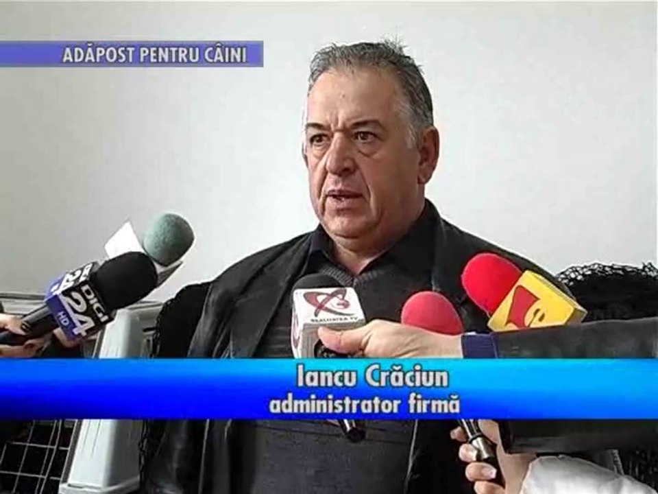 Adapost pentru caini