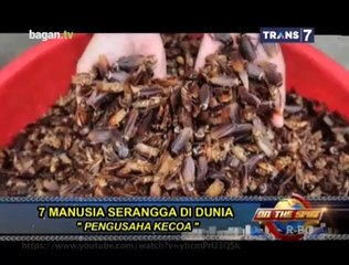 7 Manusia Lebah Di Dunia - On The Spot Trans7