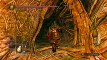 Dark Souls 2 Gameplay Walkthrough #54 | Boss Battle - Looking Glass Knight | NG  Lvl220 