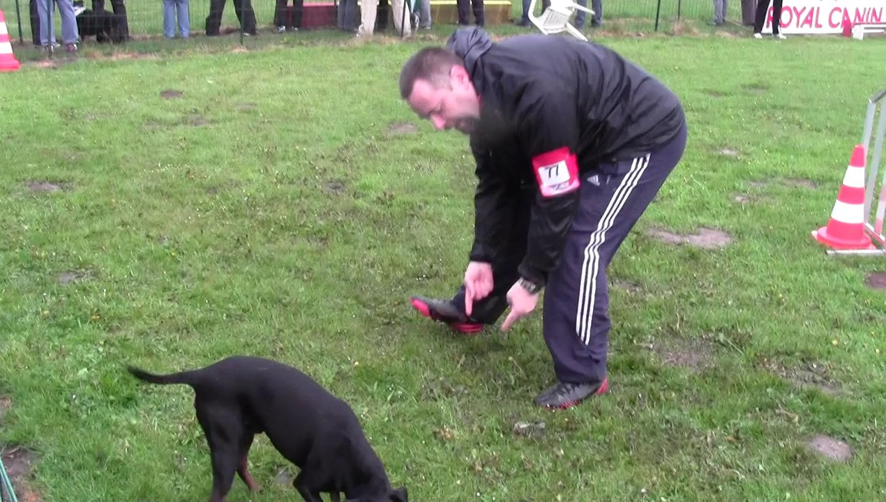 HELLBOY GAGNE LE JUMPING CHAMPIONNAT REGIONAL  3ème degré 2014 (A DOMVAST)