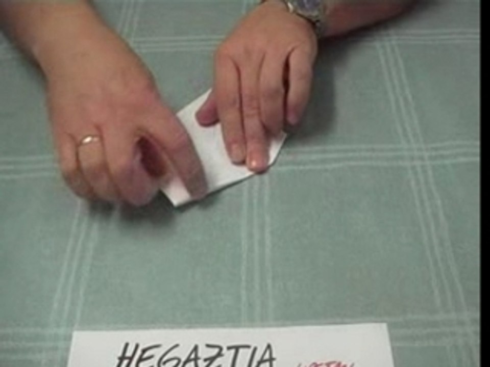 Hegaztia uretan - Cisne