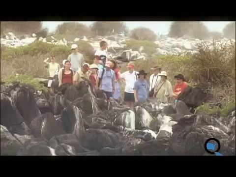 Galapagos Active Cruises: A Galapagos Cruise For Active People by Quasar Expeditions