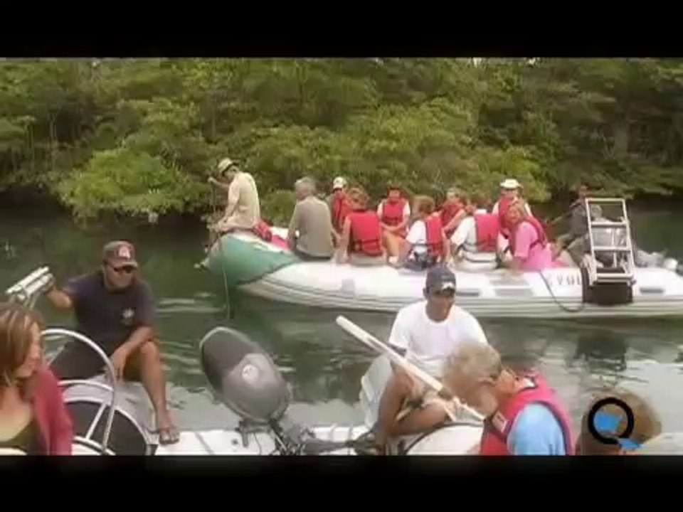 Galapagos Naturalist Cruises: A Cruise To Learn About Galapagos Islands Animals and Plants